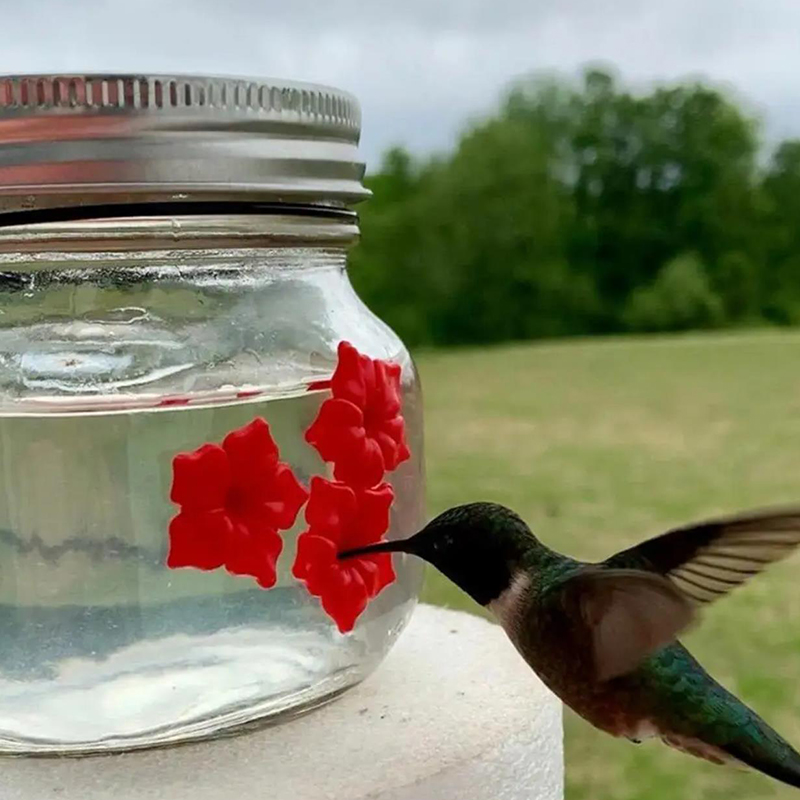 Bird Feeder Outdoor Hanging Bird Water Feeders MasonJar Flower Hummingbirds Watering Bottle Drinker for Wild Bird Garden