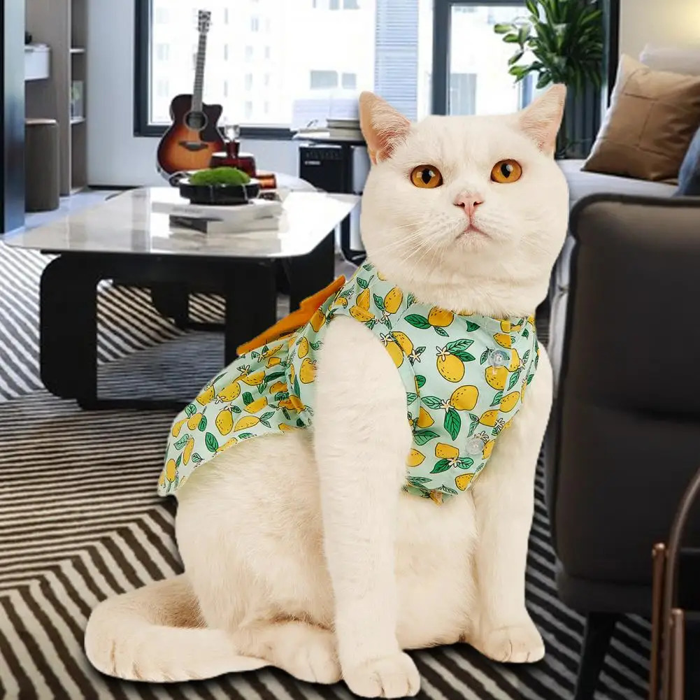 Lovely Cat Skirt Decorating Pet Vest Lemon Printing Clothes Pullover Soft Texture Kitten Dress for Party 250106