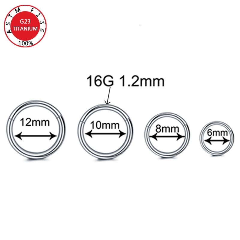 10Pc/Lot Segment Piercing Nose Ring G23 Hinged Open Small Septum Nose Earrings Women Men Ear Piercing Body Jewelry 250103