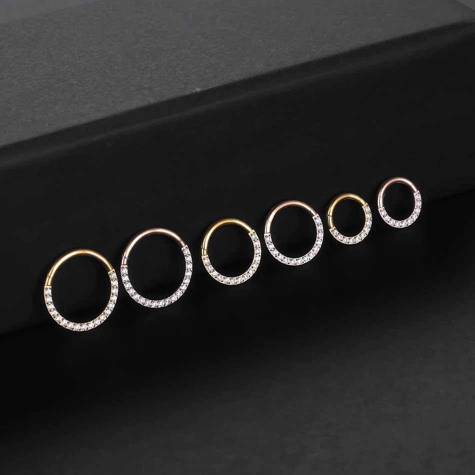 10PC G23 Round Hinged Segment Ring Nose Piercing Body Jewelry 16G Side Facing Pyramid Cut Hoop Earrings Wholesale 250103