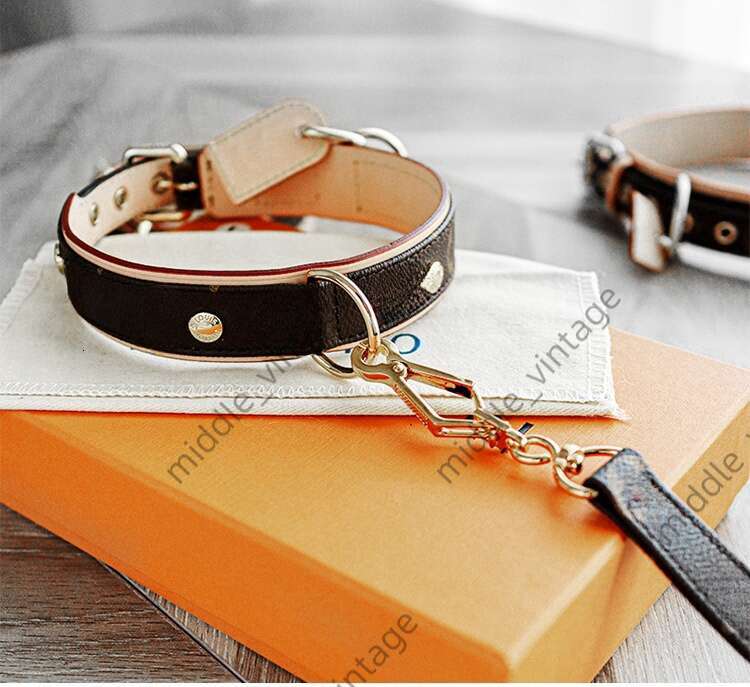 Designer Pet Genuine Leather Cat And Dog Travel Anti-lost Presbyc Collar Leash Set With Gift Box