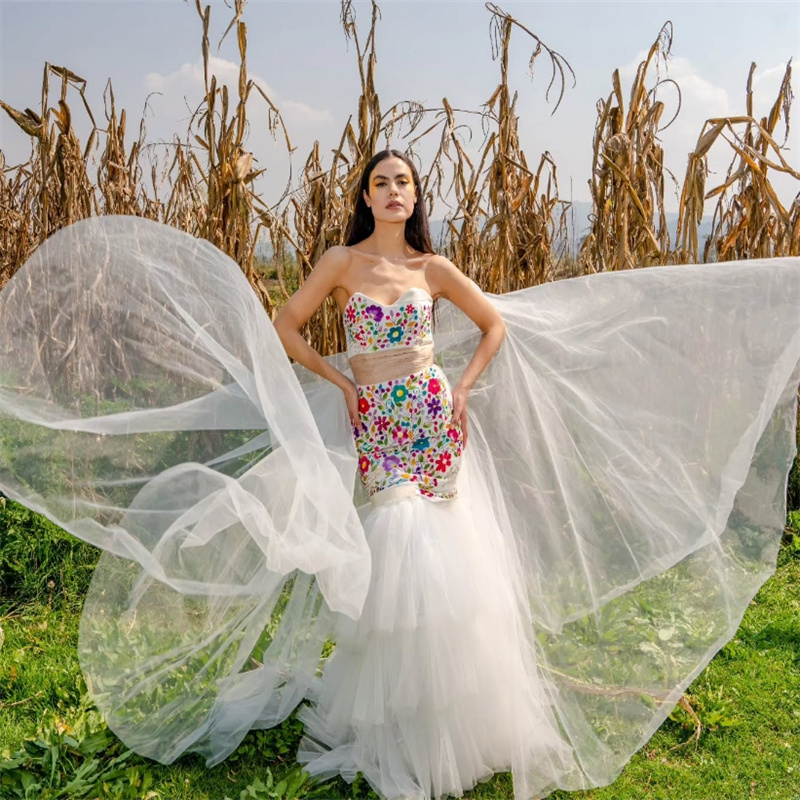 Fairy Mermaid Embroidery Wedding Dress Mexican Style 2025 Civil Farm Boho Country Bridal Dress Colored Gothic Bride Dress Tiered Tulle Bespoke Vestio 