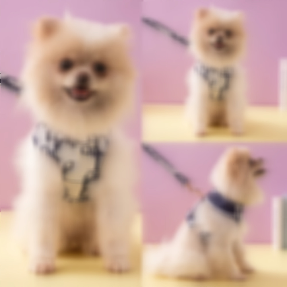 Fashionable Designer Harness Chest and Back Set Small Medium Sized Collar Strap Dog Leash Pet Supplies French Bulldog Chihuahua Schnauzer