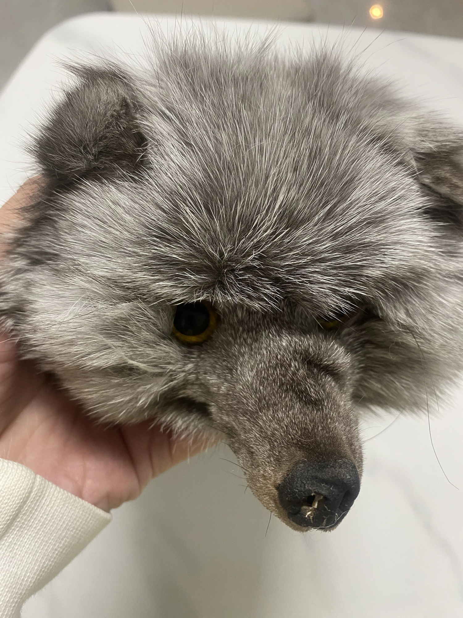 Men Womens Winter Natural Fox Fur Scarf Fur T Show Genuine Fur Party Shawl 120cm TB101 250106