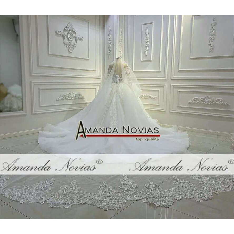 Amanda Novias Design Long Sleeve Nude Top Body Wedding Dress