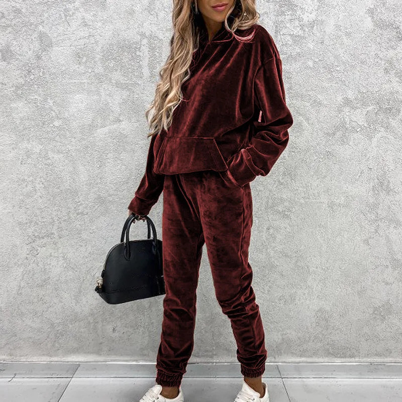 Jumper Suit Winter Spring Solid Casual Tracksuit Women Fleece 2 Pieces Sets Sports Sweatshirts Pullover Sweatpants 250106