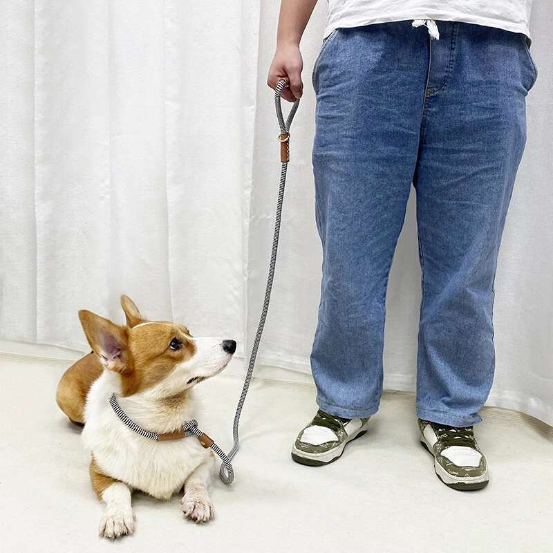 Loudik Collected Dog Slip Leash With Leather Handle Quality Small Medium Large Pet Rope Traction Leads Accessories, Wholesales