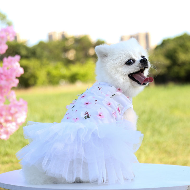 Pet dog cat peach blossom dress Teddy than bear pet supplies clothing manufacturers wholesale 2025