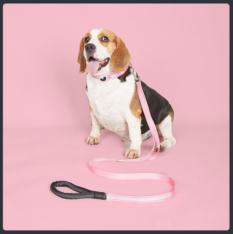 Factory Customazition Wholesale Nylon Reflective Adjustable Cat Dog Leash and Collar with Air Tag Holder Soft Padded Airtag Case Dog Collar Pet Access