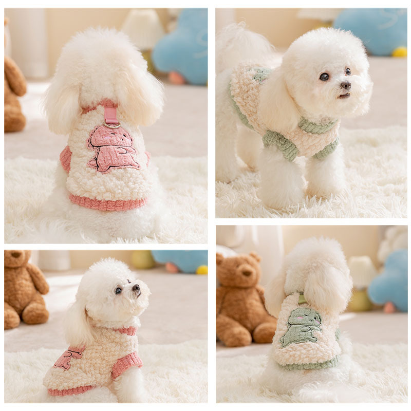 Autumn and Winter Puppy Dog Clothes Cute and Fast Dragon Two Foot Traction Velvet Clothes Thick and Warm Teddy Pet Dog Clothes