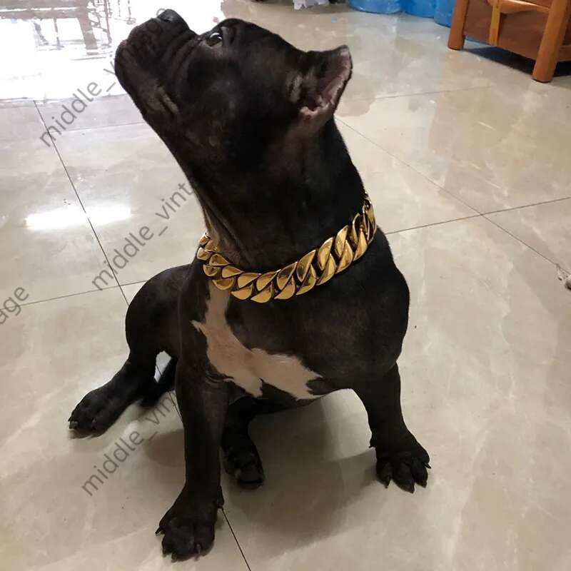 Dog Collars Strong Gold Cuban Chain Stainless Steel 32mm Dog Choke Personalized Collar Strap for Dogs H250219