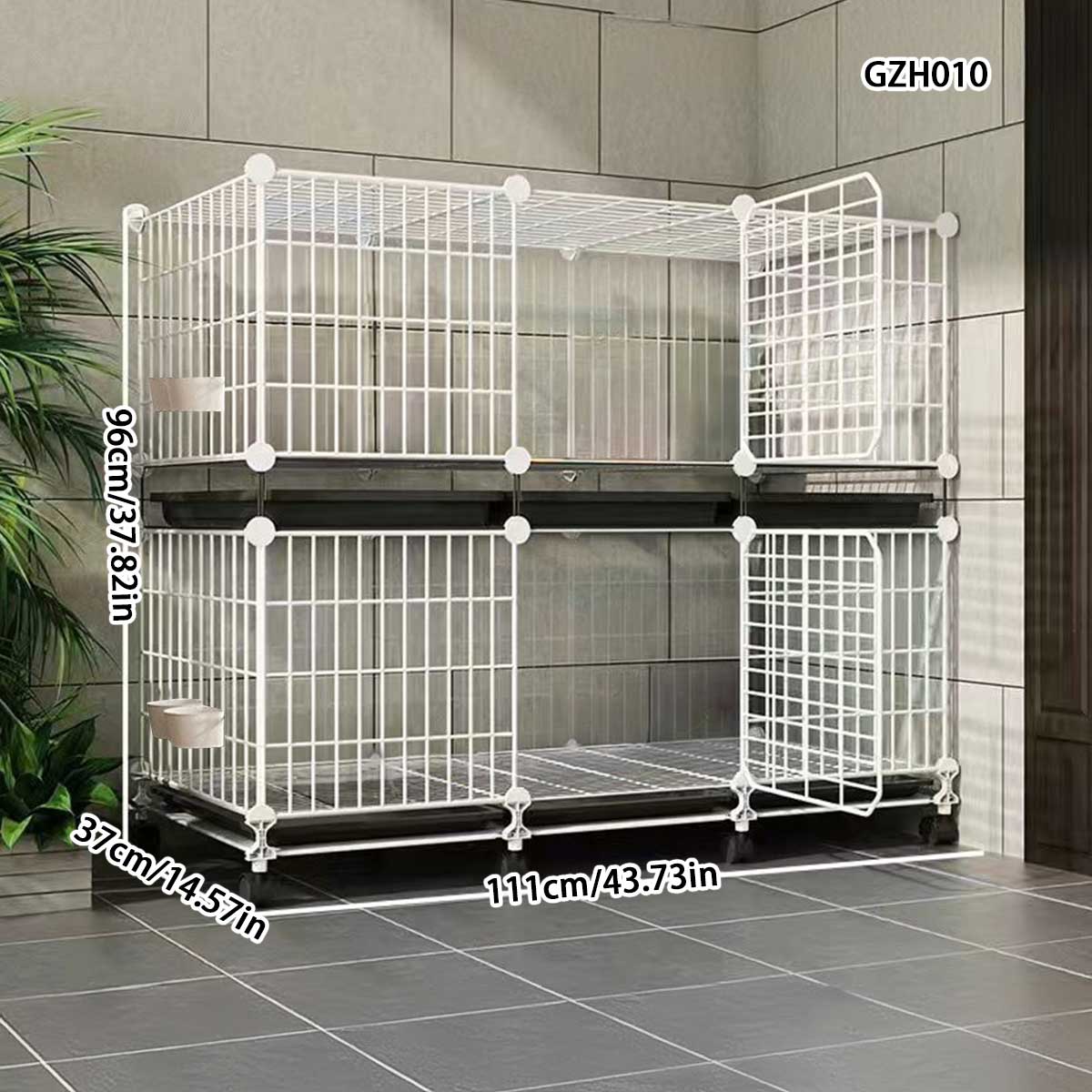 Large Scale Outdoor Pigeon Enclosure with Coupling Nest Boxes