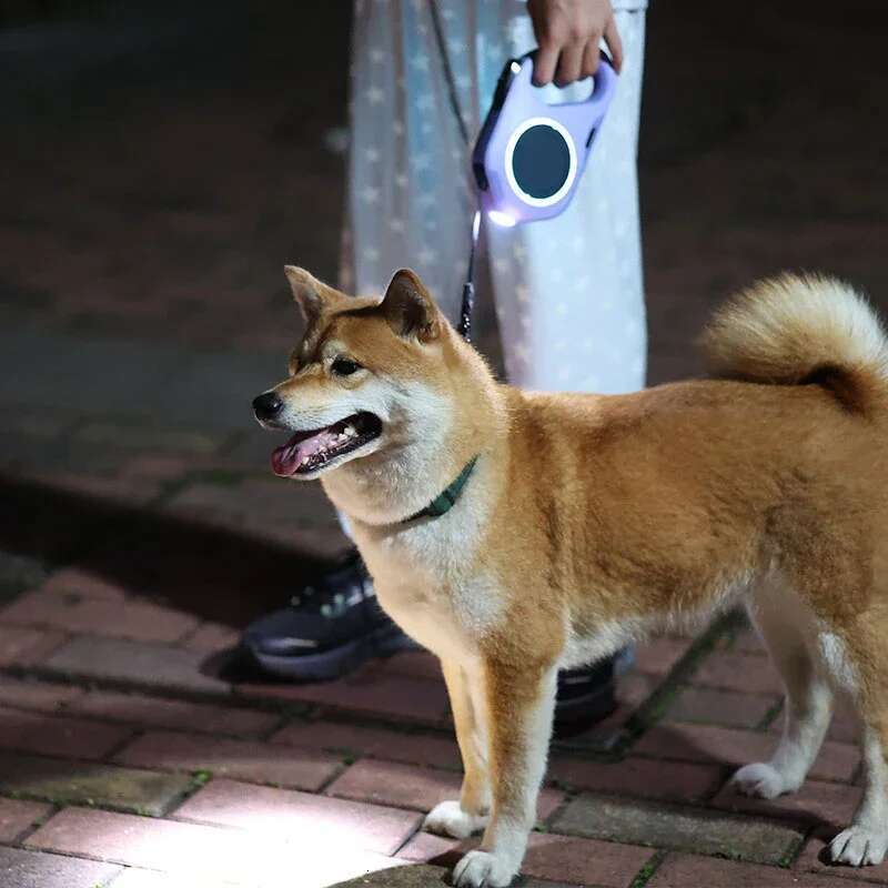 Okeypets Custom Brand Adjustable Extending Automatic Traction Heavy Duty Rope Lead Retractable Pet Dog Leash With LED Light