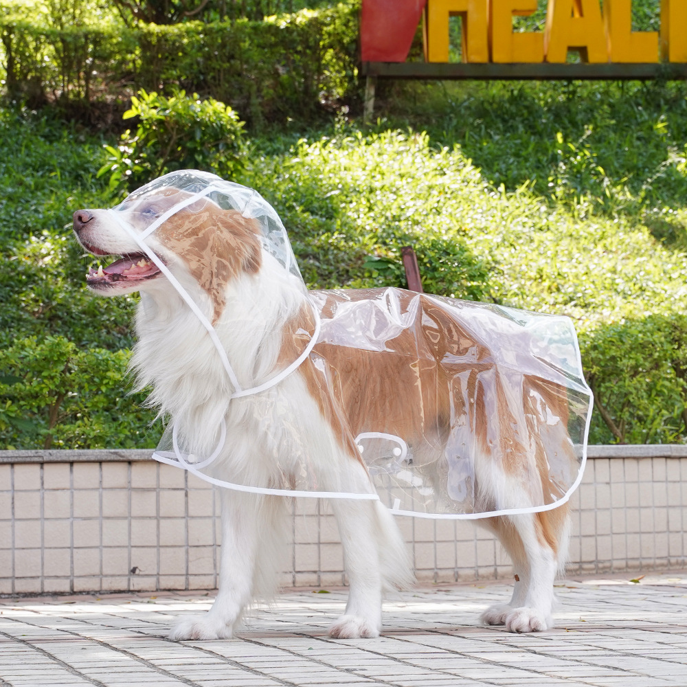 Pet big dog Clear outing raincoat Golden Retriever multi shepherd large dog clothing
