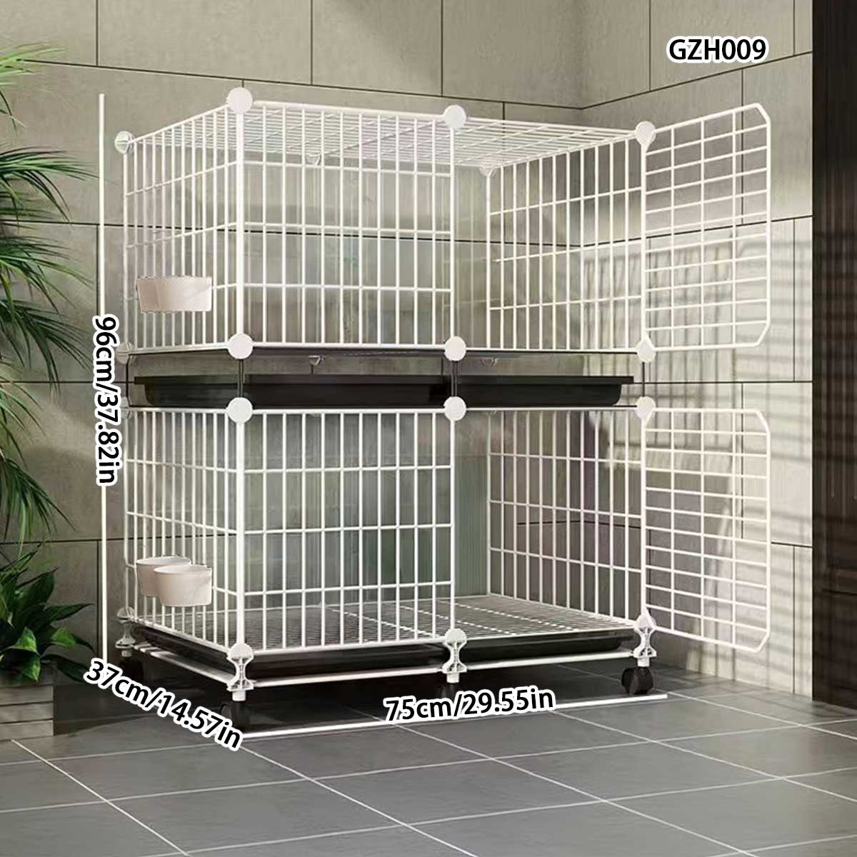 Large Scale Outdoor Pigeon Enclosure with Coupling Nest Boxes