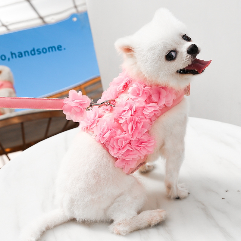 Small and medium dog dog cat pet clothing chest strap traction flower Tidibi bear spring summer fall dog leash supplies