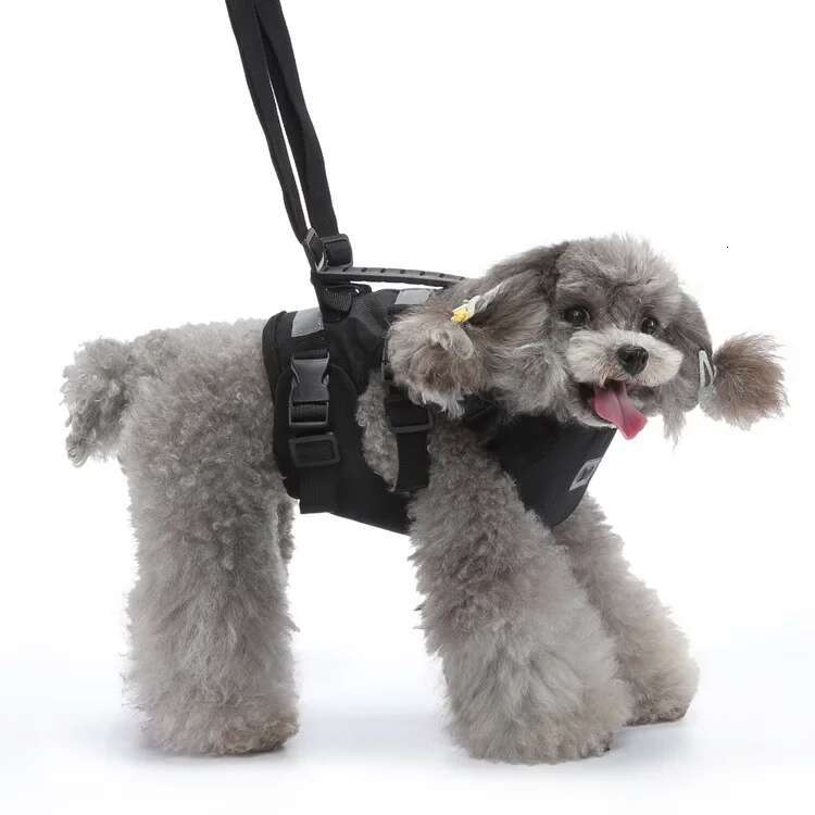 Multifunctional Dog Chest Strap Traction Rope Pet Get On The Car Go Upstairs Uphill Walking Assist Waist Belt Harness
