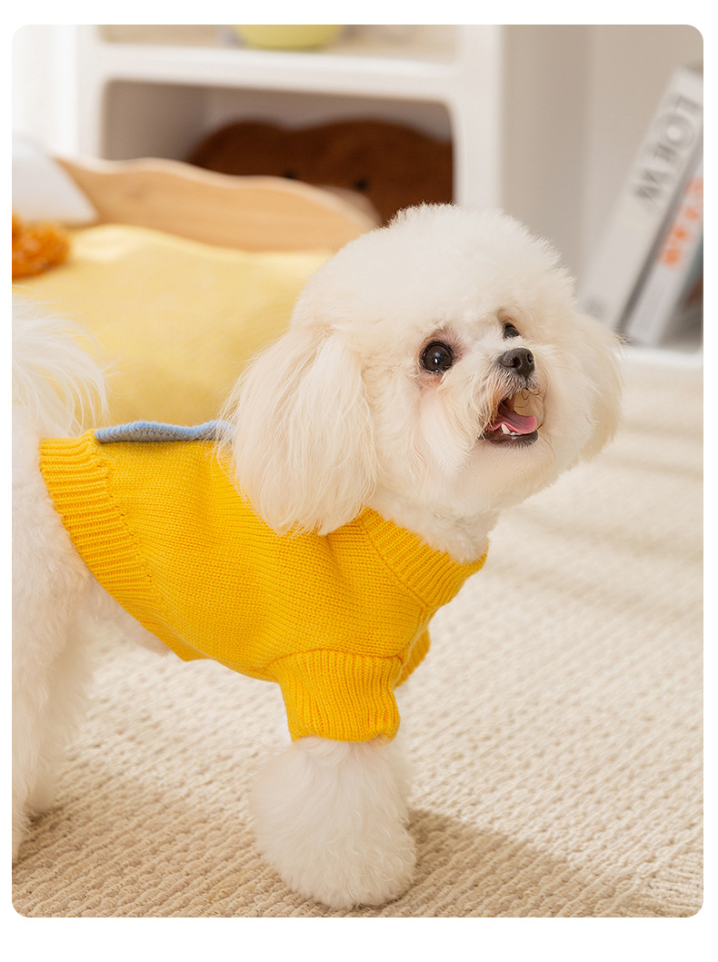 Cute Little Dinosaur Autumn and Winter Dog Sweater Knitted Teddy Doll Cat Clothing Dog Two Legged Pet Clothing