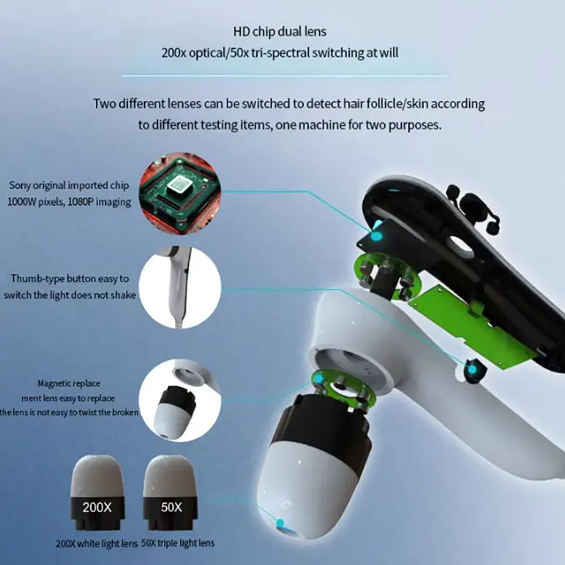 5-In-1 Scalp Care Anti-Hair Loss Machine And Balance Oil Hair Growth Therapy Devices For Hair Clinic Spa Salon