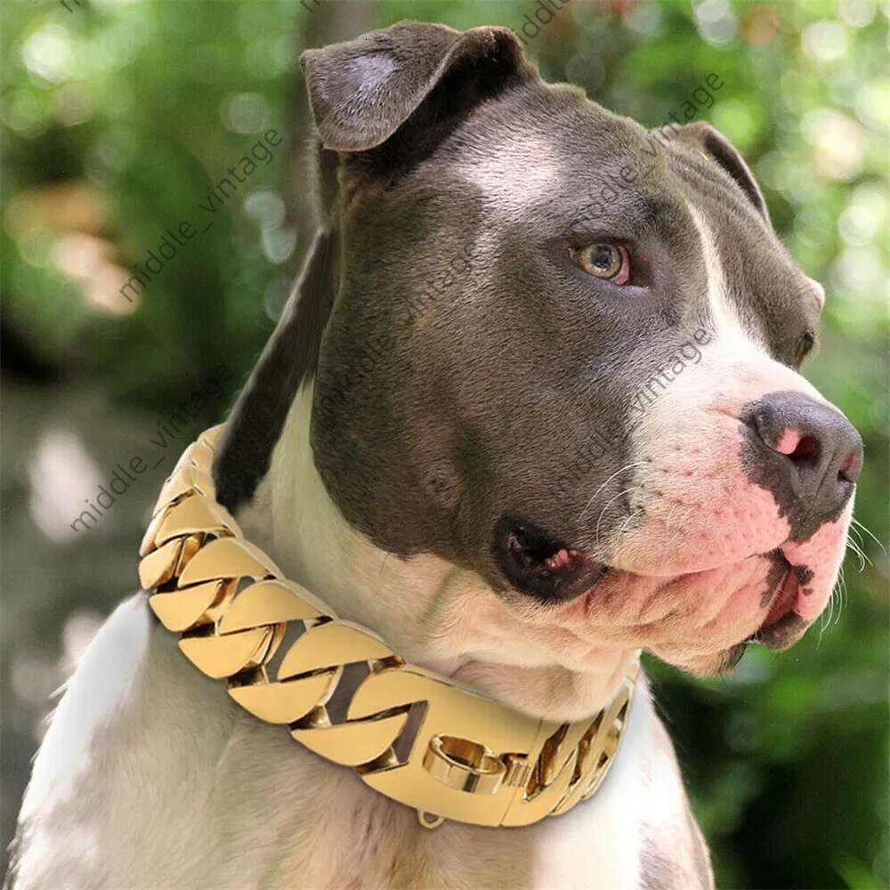 Dog Collars Strong Gold Cuban Chain Stainless Steel 32mm Dog Choke Personalized Collar Strap for Dogs H250219