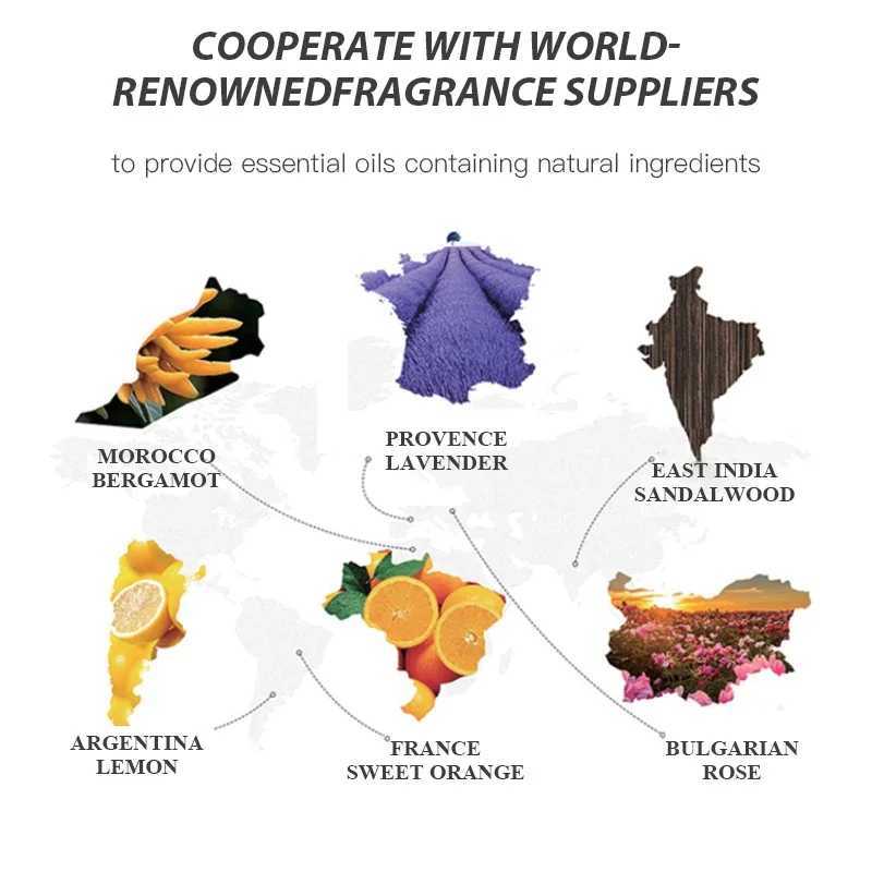 Car Air Freshener NAMSTE 100ML Aromatic Oil Aromatherapy Oil Air Refresher perfume Oil Aromatic Equipment Concentrated Essential Oil H250108
