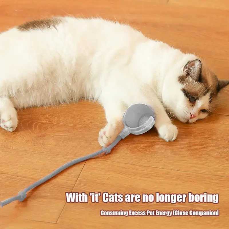 Interactive Cat Toys Ball Auto Electric Rolling Ball Toys for Cats/Kitty Pets Smart Automatic Teaser USB Charging Y240106