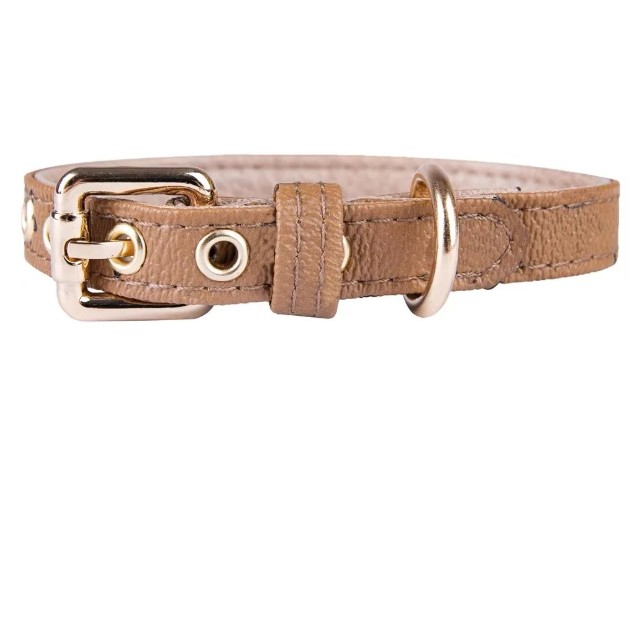 Dog Collars Leash Set Classic Presbya Letters Pattern Leashes PU Leather Fashion Casual Adjustable Dogs Cats Neck Strap Cute Pet Collar
