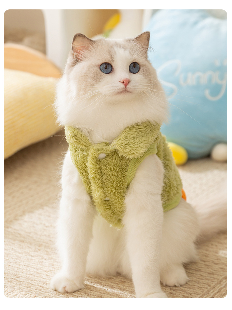 Pet Cat clothes cute two feet warm woolen clothes autumn and winter dog clothes small and medium-sized pet clothes