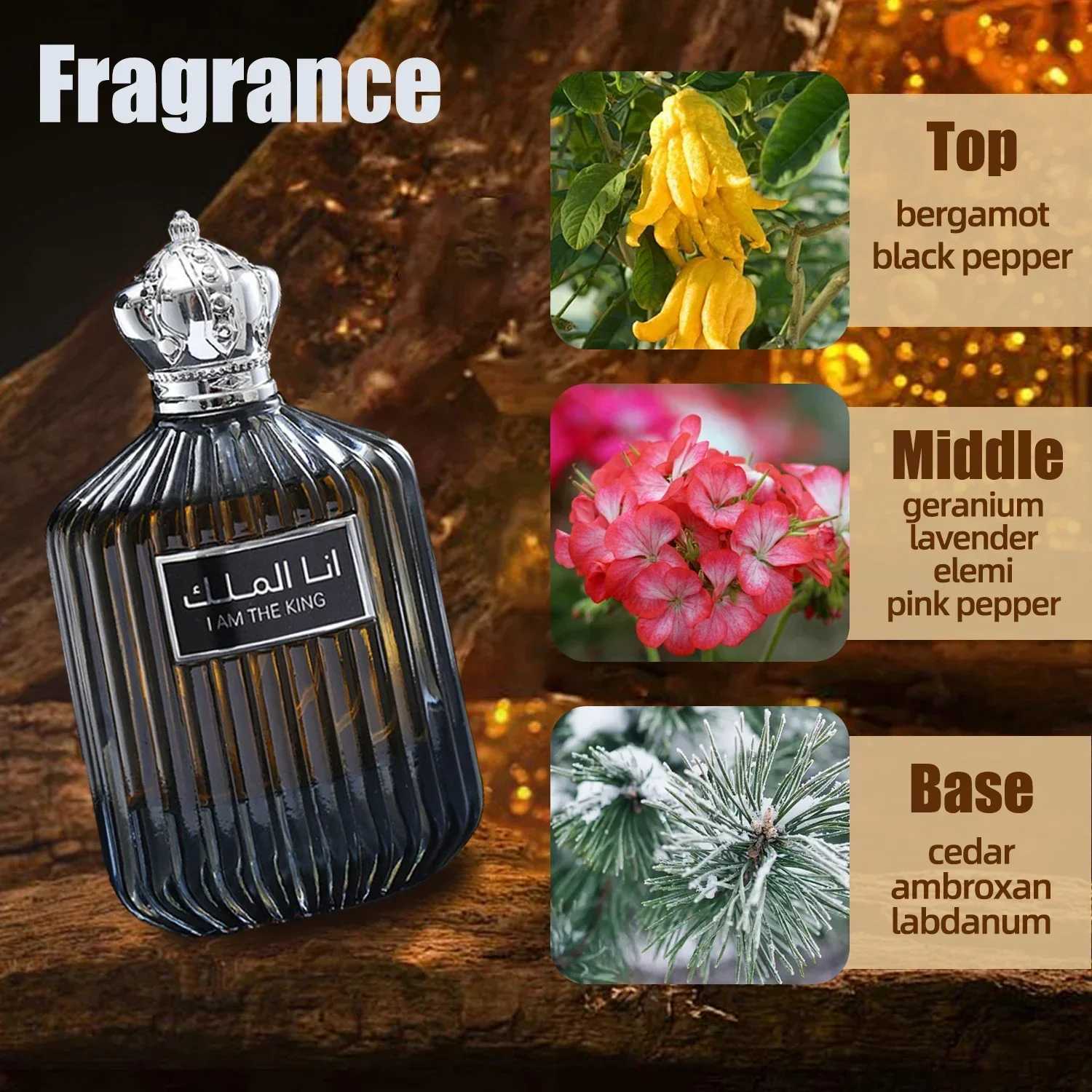 Arabic King Mens Perfume Original High Quality Pheromone Fragrance Perfume Long-lasting Attract Women Sexy Perfume PortableXJ250109