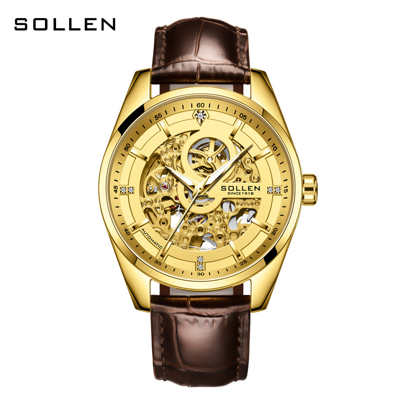 Men's Automatic Mechanical Watch with Night Glow, Waterproof, Skeleton Dial, Gold Face, Tourbillon Business Watch