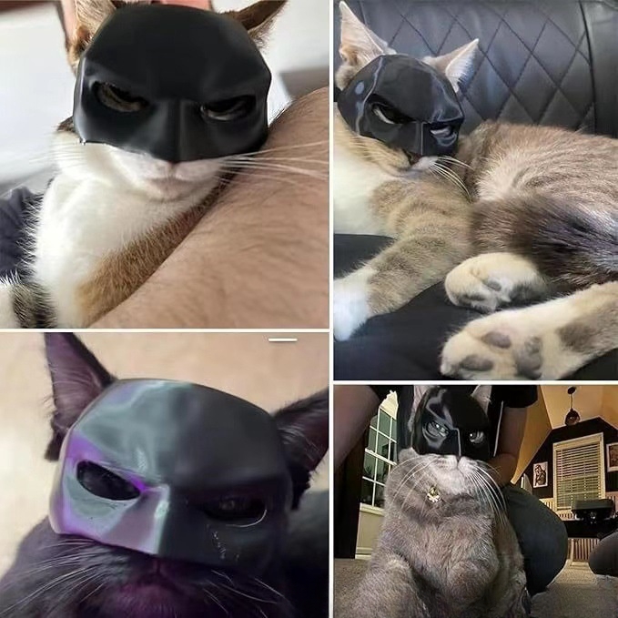 Adorable Feline Spider Web Masked Outfit Unique Decorative Pet Attire