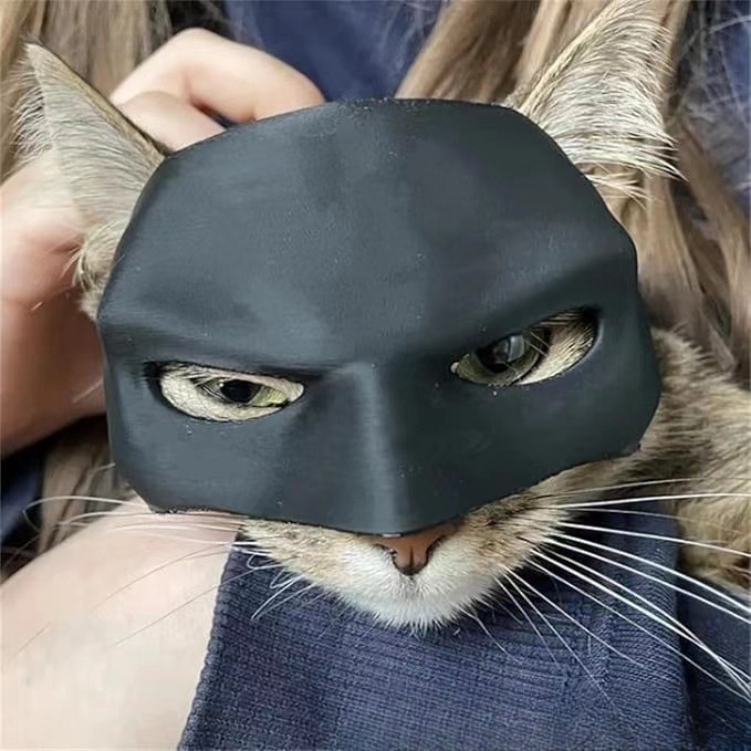 Adorable Feline Spider Web Masked Outfit Unique Decorative Pet Attire
