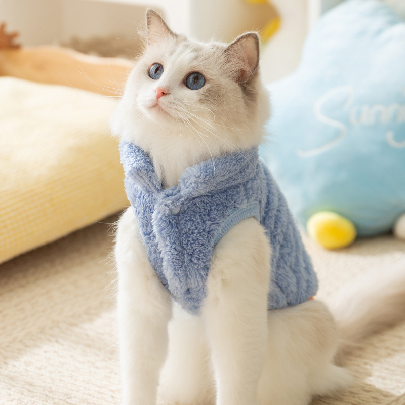 Pet Cat clothes cute two feet warm woolen clothes autumn and winter dog clothes small and medium-sized pet clothes