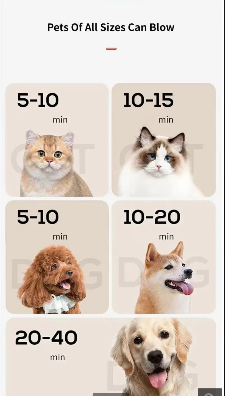 Pet Water Blower Large Dog Hair Dryer High Power Low Noise Strong Wind Fast Drying Golden Hair Dogs Blow Box Pets Supplies