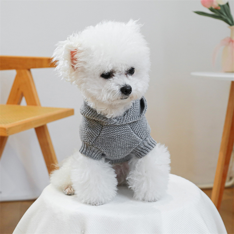 Winter Dog Pullover Sweater - Knit Floral Design for Small Breeds like Dachshund & Chihuahua