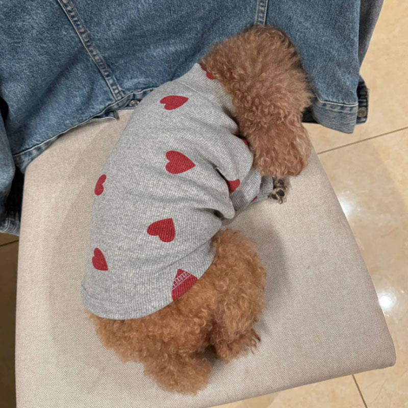 Multi-Color Dog Pajama with Elastic Pullover for Small & Medium Breeds - Perfect for Spring and Autumn