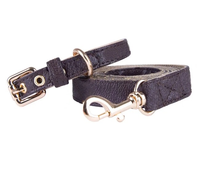 Dog Collars Leash Set Classic Presbya Letters Pattern Leashes PU Leather Fashion Casual Adjustable Dogs Cats Neck Strap Cute Pet Collar