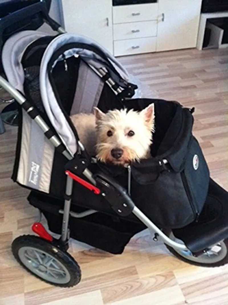 Black/Silver Dog Carrier Cart Comfortable EFA Cart Foldable Pet Cart Hand Pusher Cart Hand Pusher Cart Rubber for Dogs and Cats W250109