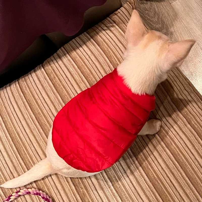 Warm Winter Dogs Clothes Puppy Dog Jacket Coats Chihuahua French Bulldog Outfits Vest Pug shih tzu Clothing Dog SuppliesXJ250109