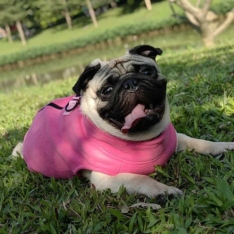Fleece Dog Clothes For Small Medium Dogs Winter Warm Puppy Clothing French Bulldog Coat Pug Costume Poodle Jacket Chihuahua VestXJ250109