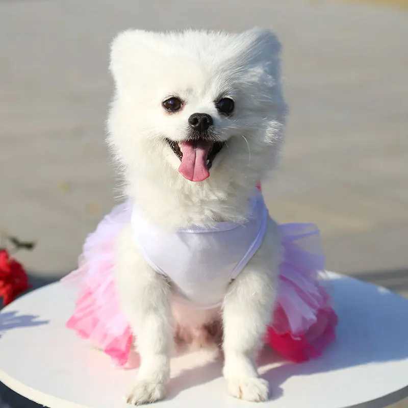 Spring Dog Lace Dress Pet Dog Clothes For Small Dog Party Birthday Wedding Dress Puppy Costume Pet ClothesXJ250109