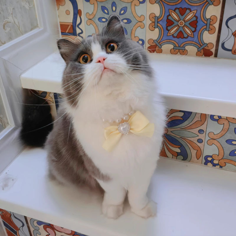 Cat Collar Decoration Pet Cute Exquisite Neck Kitten Adjustable Summer Cat Necklace High Simulation Pearls Pet Supplies
