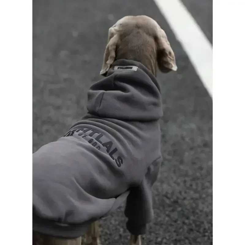 New pet large dog clothes autumn and winter padded and thickened color blocking hooded English dog sweaterXJ250109