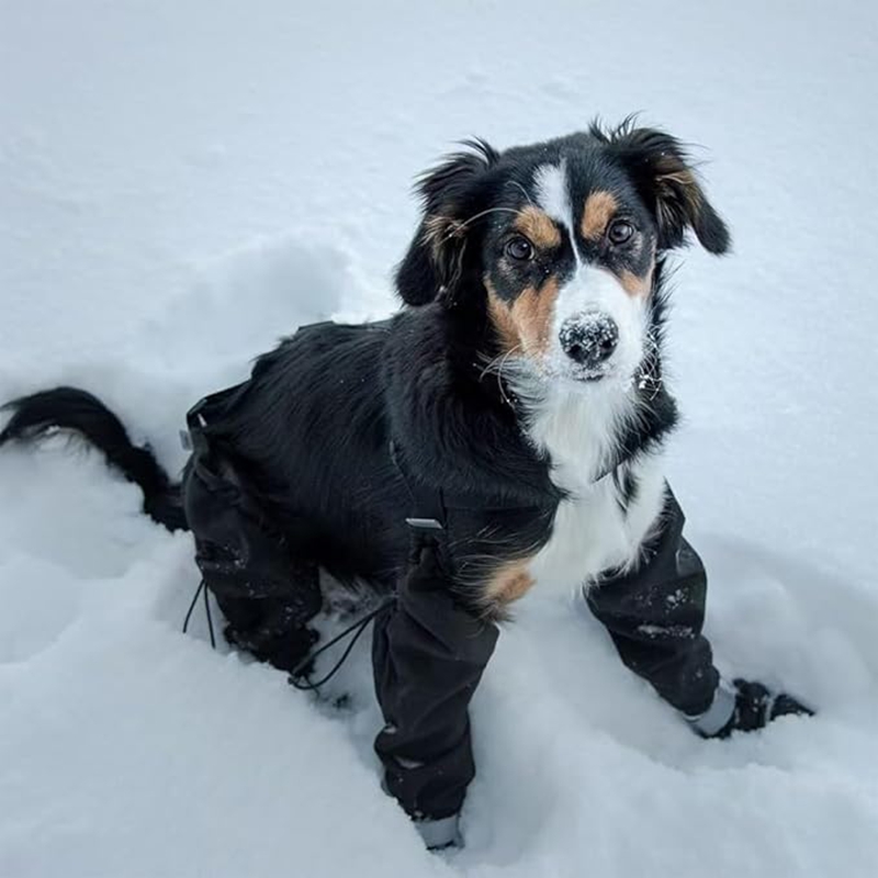 Dog Suspender Booties, Dog Paw Boot Leggings Anti-Slip, Adjustable Dog Snow Pants with Attached Boots Waterproof for Dogs Winter Snow Rain Hiking Paws