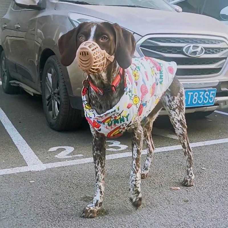 Fashion Big Dog Waterproof Jacket Autumn Winter Pet Coat with Traction Buckle Doberman Pinscher Golden Retriever Outdoor JacketsXJ250109