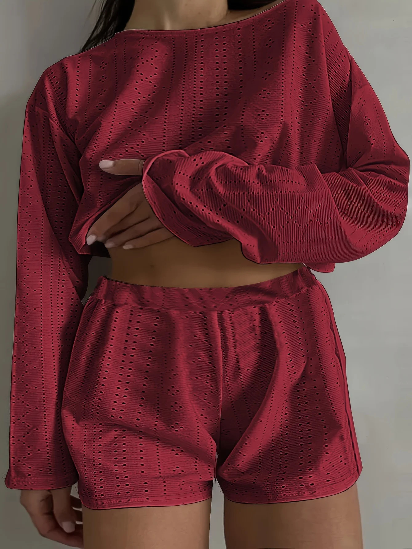 Plus Size Eyelet Casual Shorts Set Crew Neck Long Sleeve Top Outfits Womens Clothing 250106