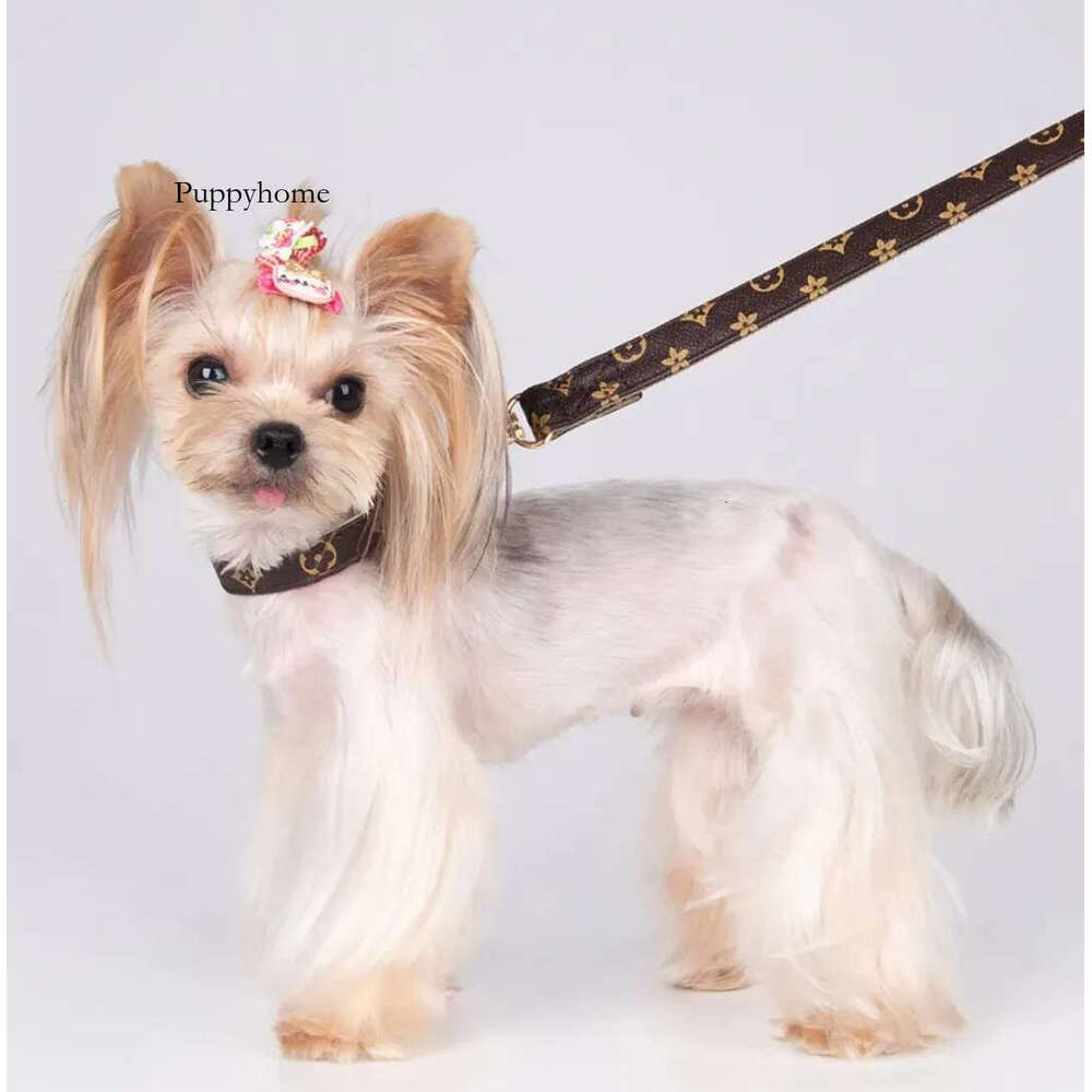 Dog Collars Leash Set Classic Presbya Letters Pattern Print Leashes PU Leather Fashion Casual Adjustable Dogs Cats Neck Strap Cute Pet Collar Poodle 0