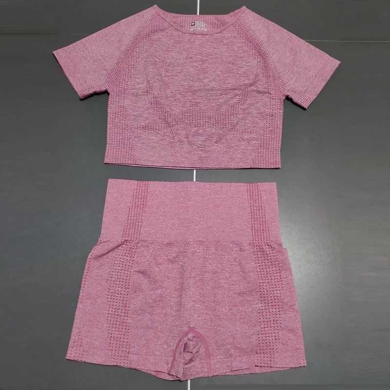 2Pcs/Set Women High Waist Seamless Yoga Set Gym Clothes Fitness Top Short Sleeve Shirt Shorts Sports Suits Athletic WearXJ250109
