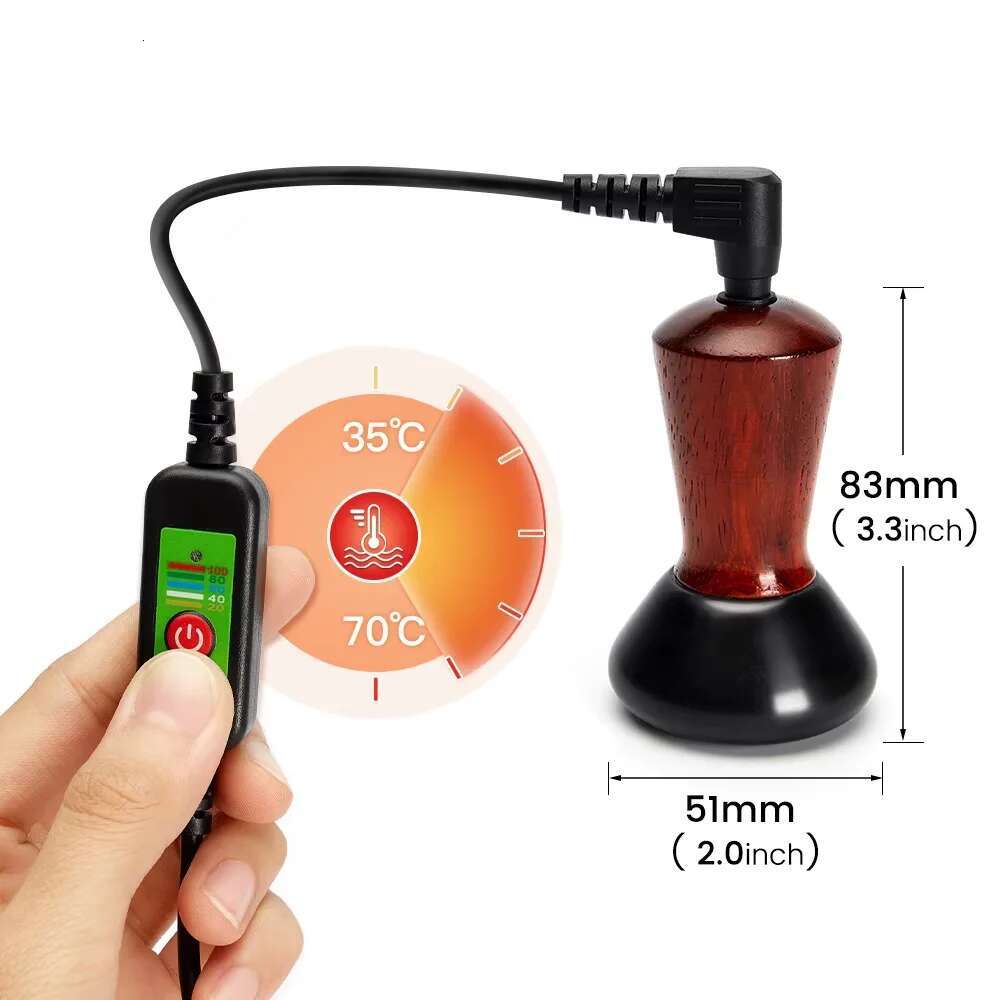 Electric Volcanic Facial Massager Natural Bian Heating Massage for Face Slim Lifting Skin Guasha Energy Stone Needle Warm