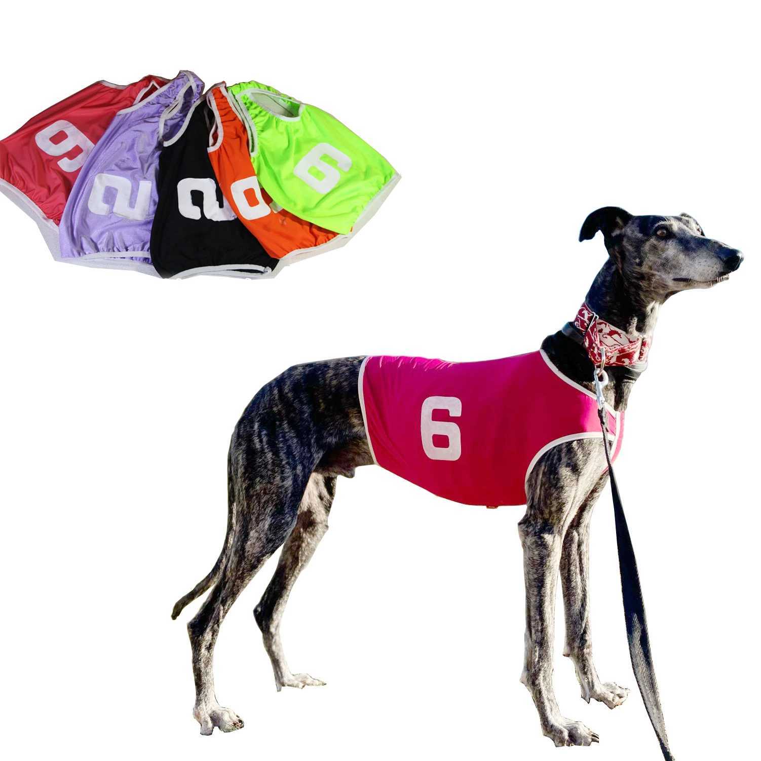 Summer Pet Clothes Dog Vest Jackets Whippet Greyhound Suit Jersey Breathable Pets T-Shirt For Sports DogXJ250109